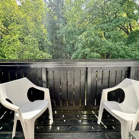 Goscinne Grafit Wladyslawowo