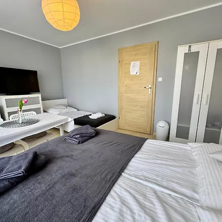 Goscinne Grafit 홈스테이 *