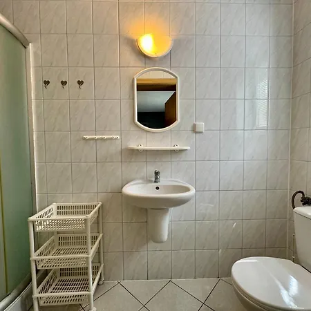 Goscinne Grafit Homestay *