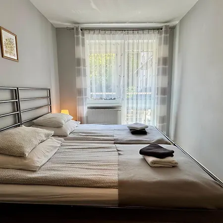 홈스테이 Goscinne Grafit *