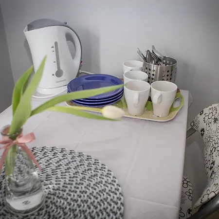 Goscinne Grafit Homestay *