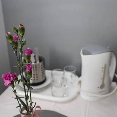 Goscinne Grafit * Wladyslawowo