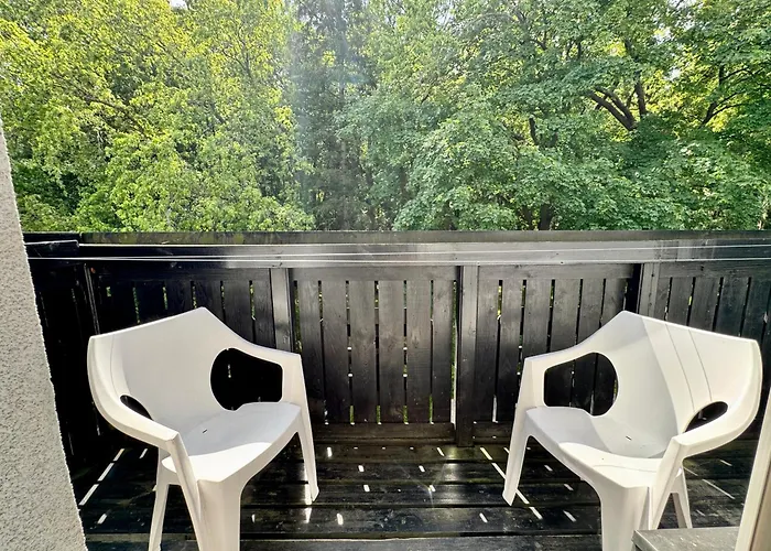 Goscinne Grafit Władysławowo