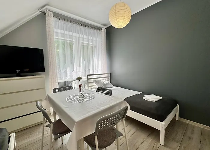 Goscinne Grafit Władysławowo