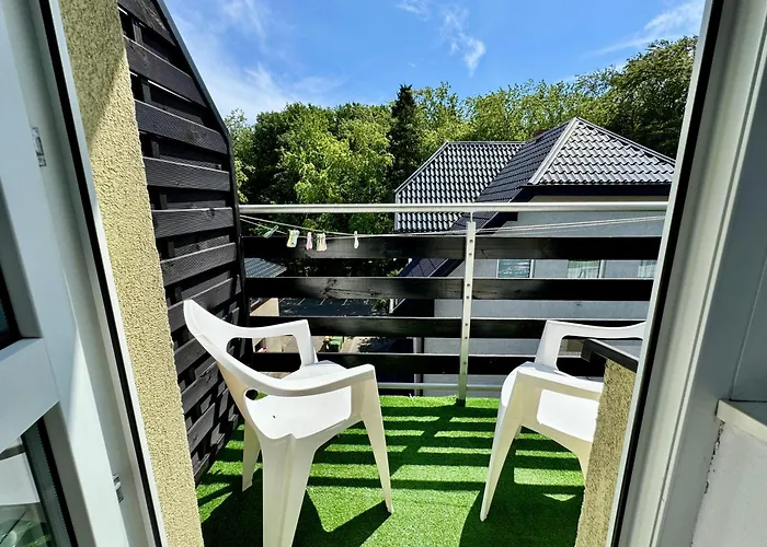 Goscinne Grafit * Władysławowo