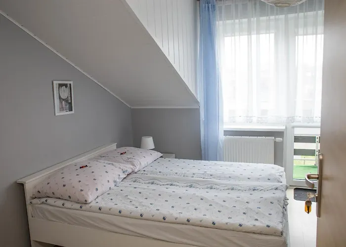 Goscinne Grafit Władysławowo