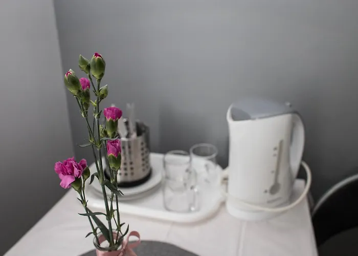 Goscinne Grafit * Władysławowo